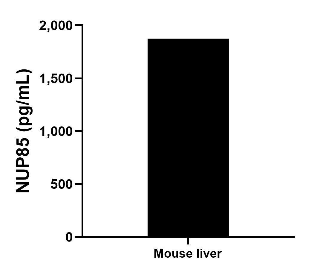 The mean NUP85 concentration was determined to be 1,874.5 pg/mL in mouse liver cell extract based on a 3.0 mg/mL extract load.